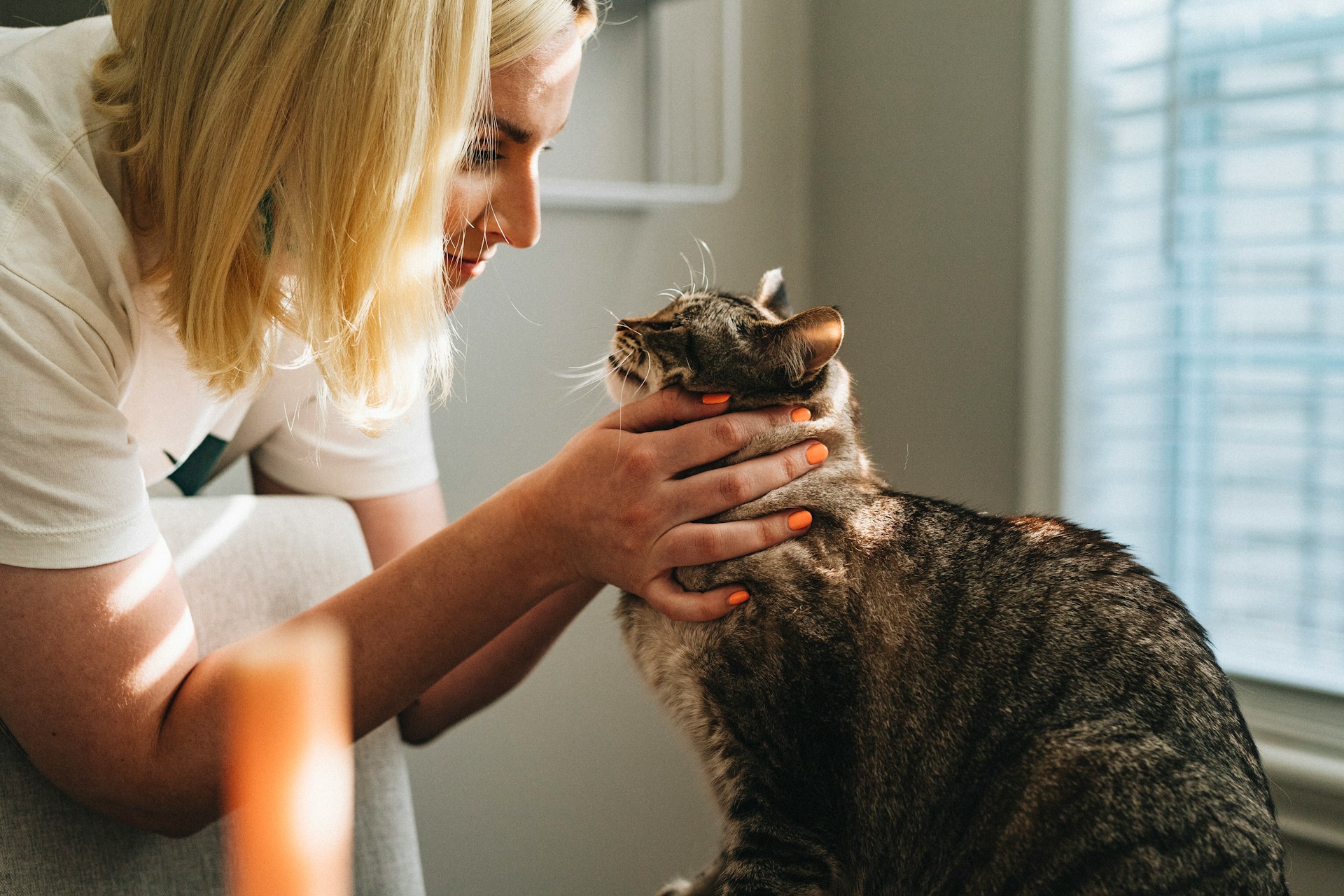 Gabinet PetCare